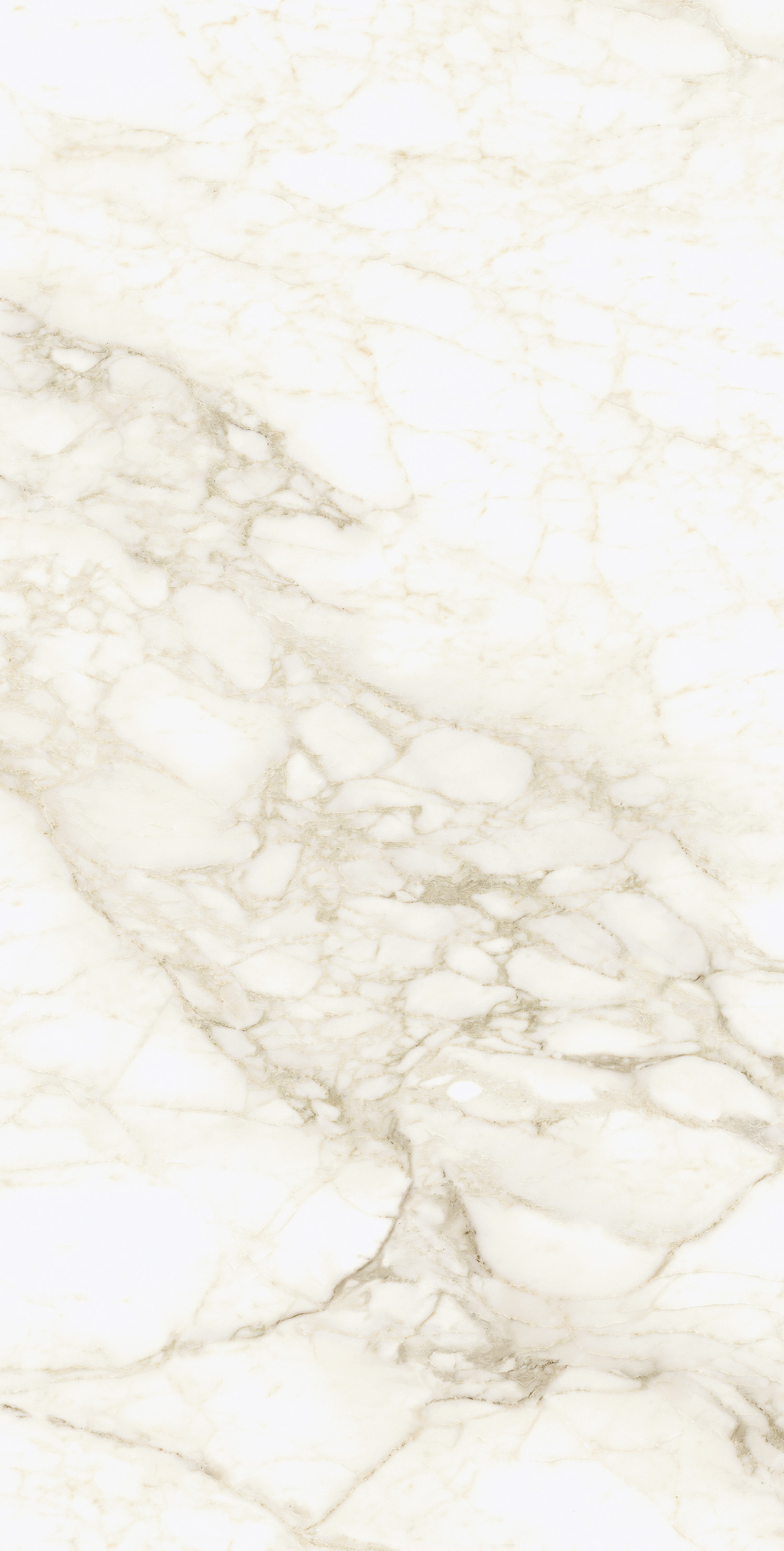 610010002745 На пол Michelangelo Ворм 60x120