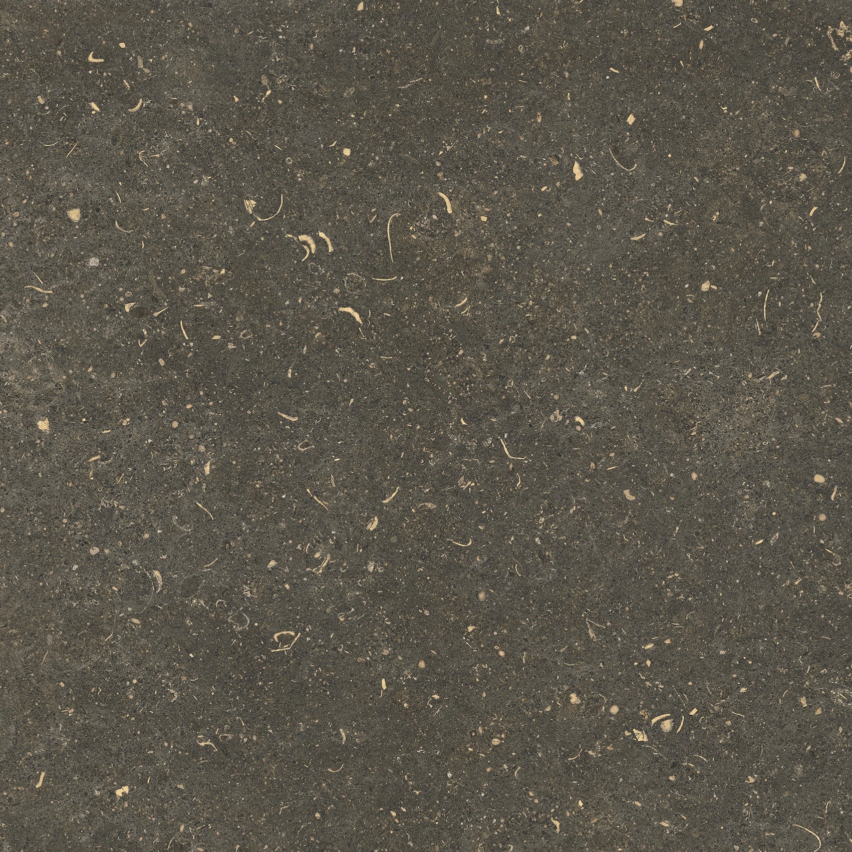 785487 На пол Rinascenza Arena Platino Matte 60x60 - фото 6