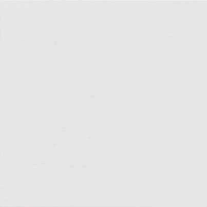 На пол Monocolor Alaska 31