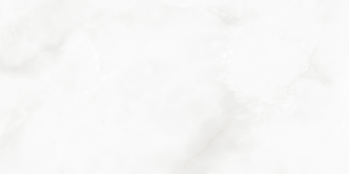 LP6012G0541R На пол Bernini Bianco белый глянцевые чернила 59.5х119.1 - фото 9