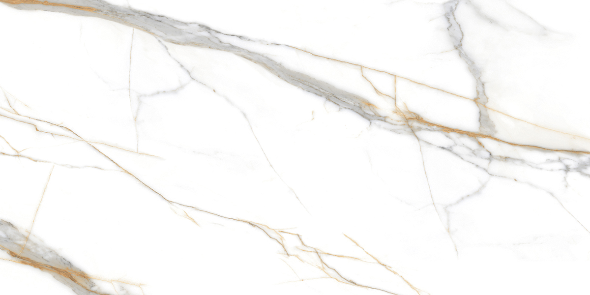 PRO 1059G На пол Roma Grigio Gloss 1200x600 - фото 5