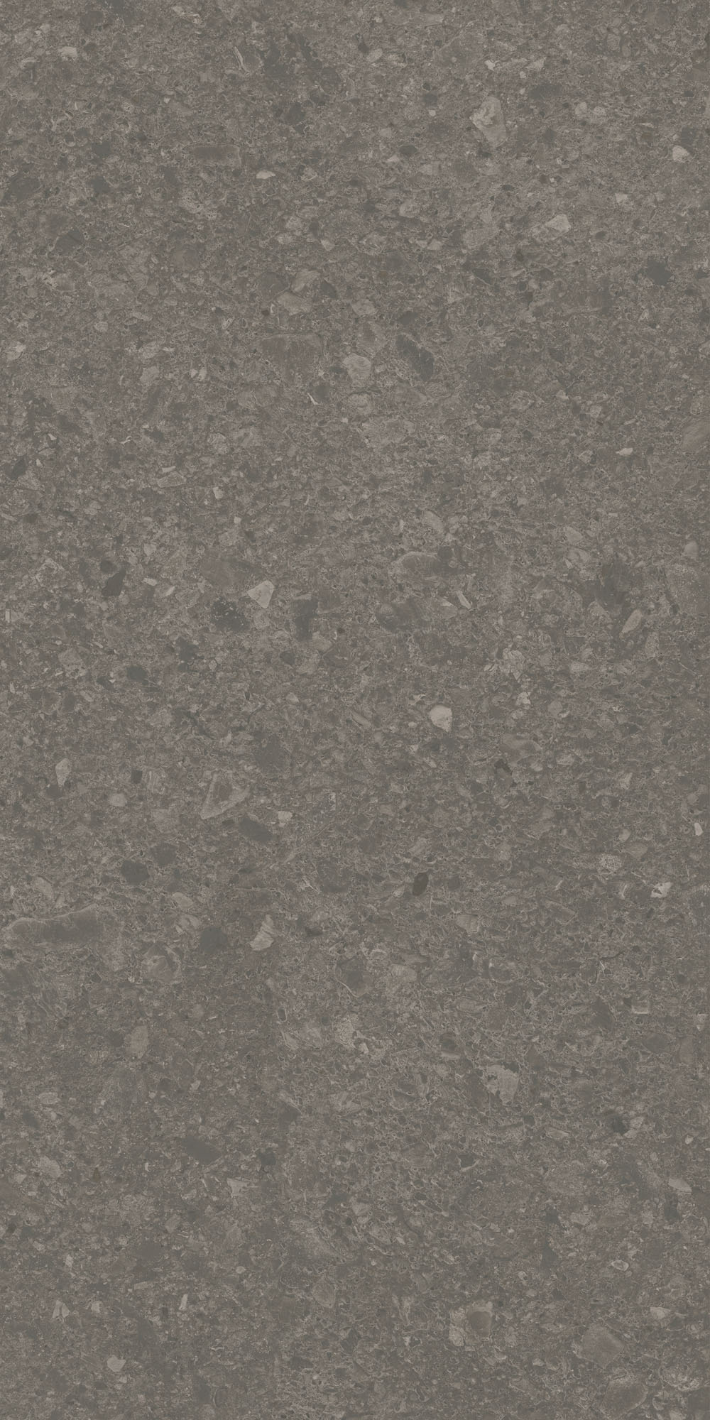 DD508120R На пол Чеппо ди Гре Коричневый матовый обрезной 60x119.5x0.9 - фото 4