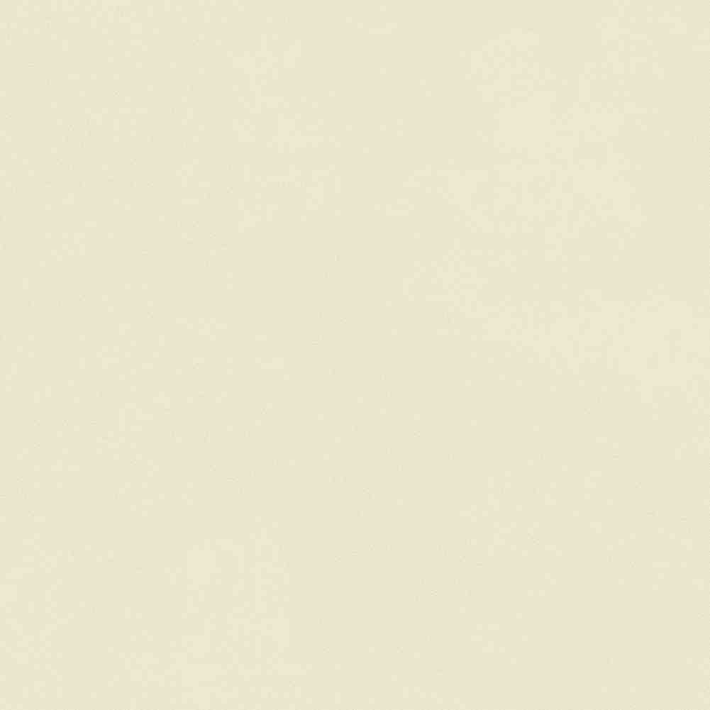 ENCLR6081MT2020 На пол Corsica Beige Matt 200х200х8 - фото 21