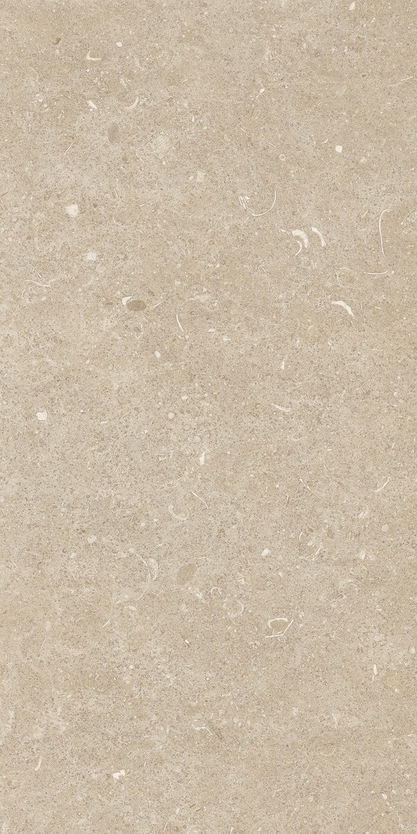 785489 На пол Rinascenza Arena Conchiglia Matte 30x60 - фото 3