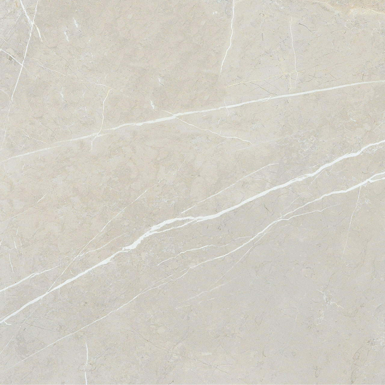 BB6NTT9101P На пол Bright And Shiny BB6NTT9101P - фото 2