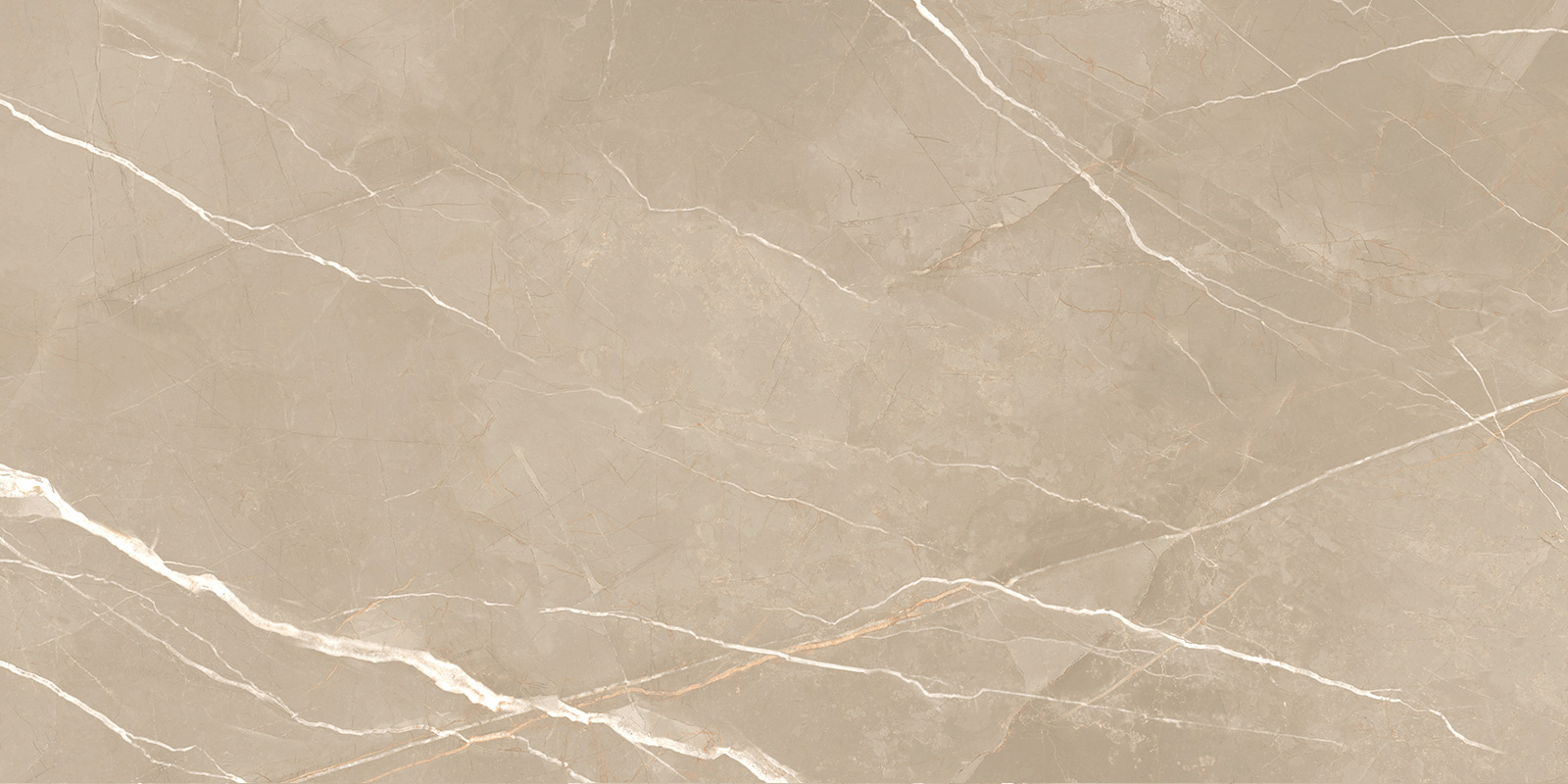 60120ESE21P На пол Essential Marron полированный 600x1200x7 - фото 3