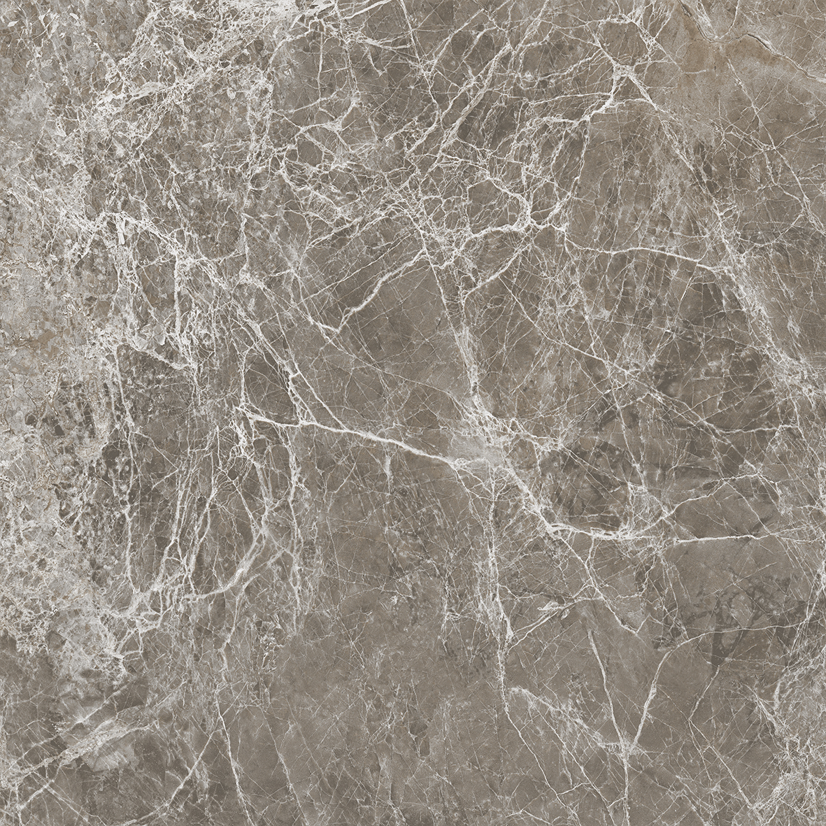 NR0386 На пол Tasos Коричневый Матовый 60x60 - фото 2