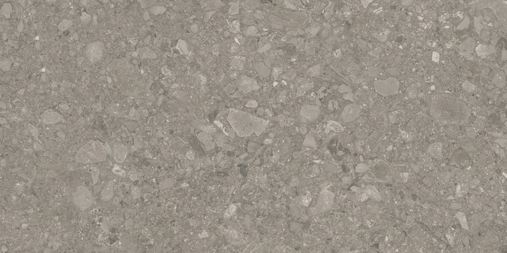 RP-238600  Ceppo Di Gris GHR 60x120 - фото 4