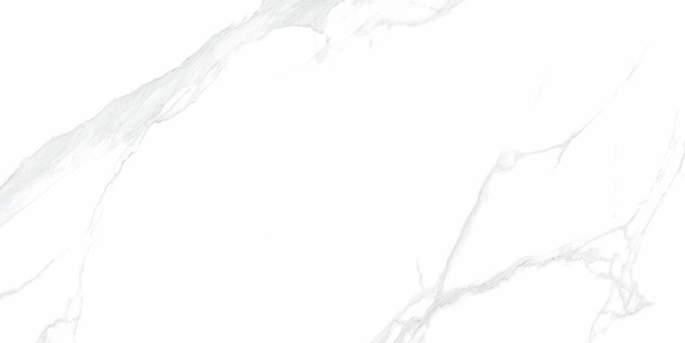 NTT9106P  На пол Bright And Shiny Statuario 60x120