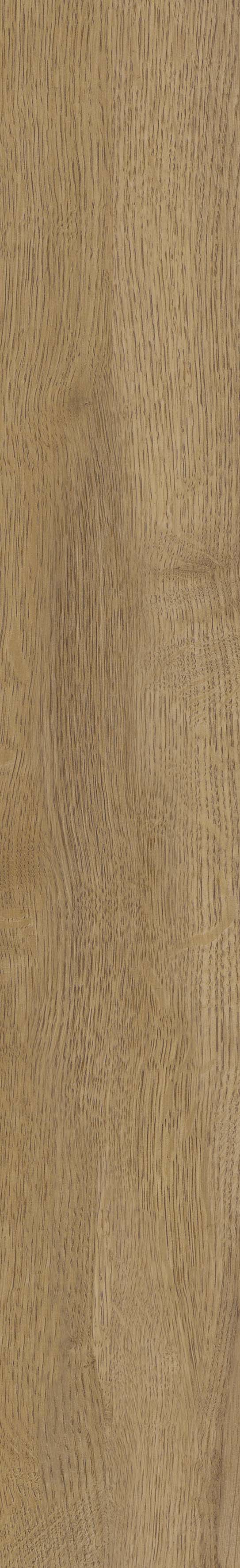 SGR51 На пол Velaris SGR51 Honey 9.2x60 - фото 2