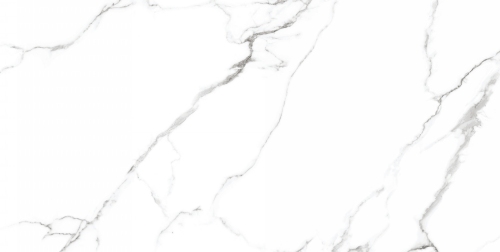 CV20222 На пол Classic Marble Mckinley Glossy 60x120 - фото 2