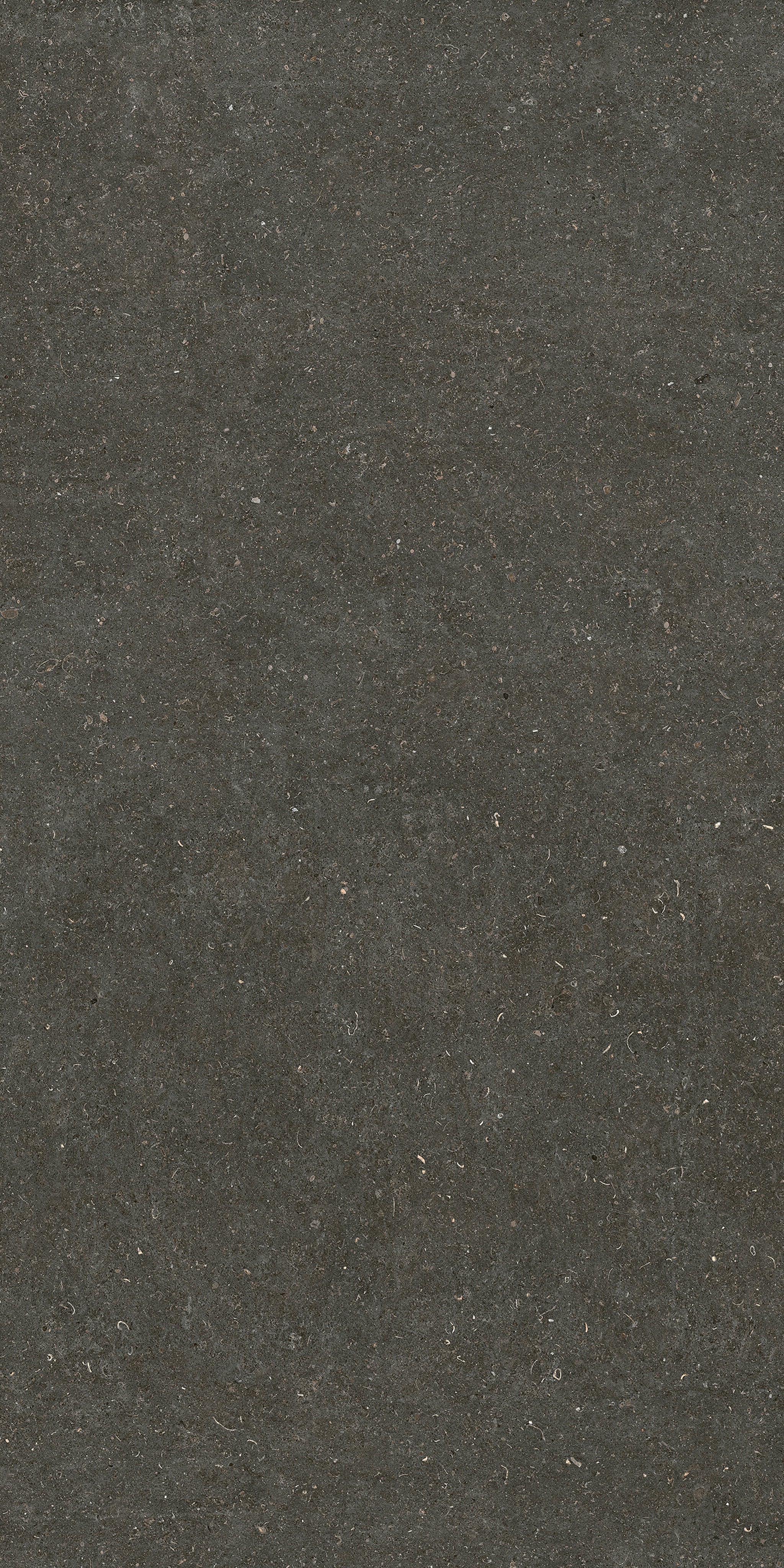 785585 На пол Rinascenza Arena Platino Matte 6mm 120x240 - фото 3