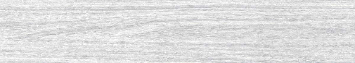 ENWD1024MT20120 На пол Wood Foresta Bianco Matt