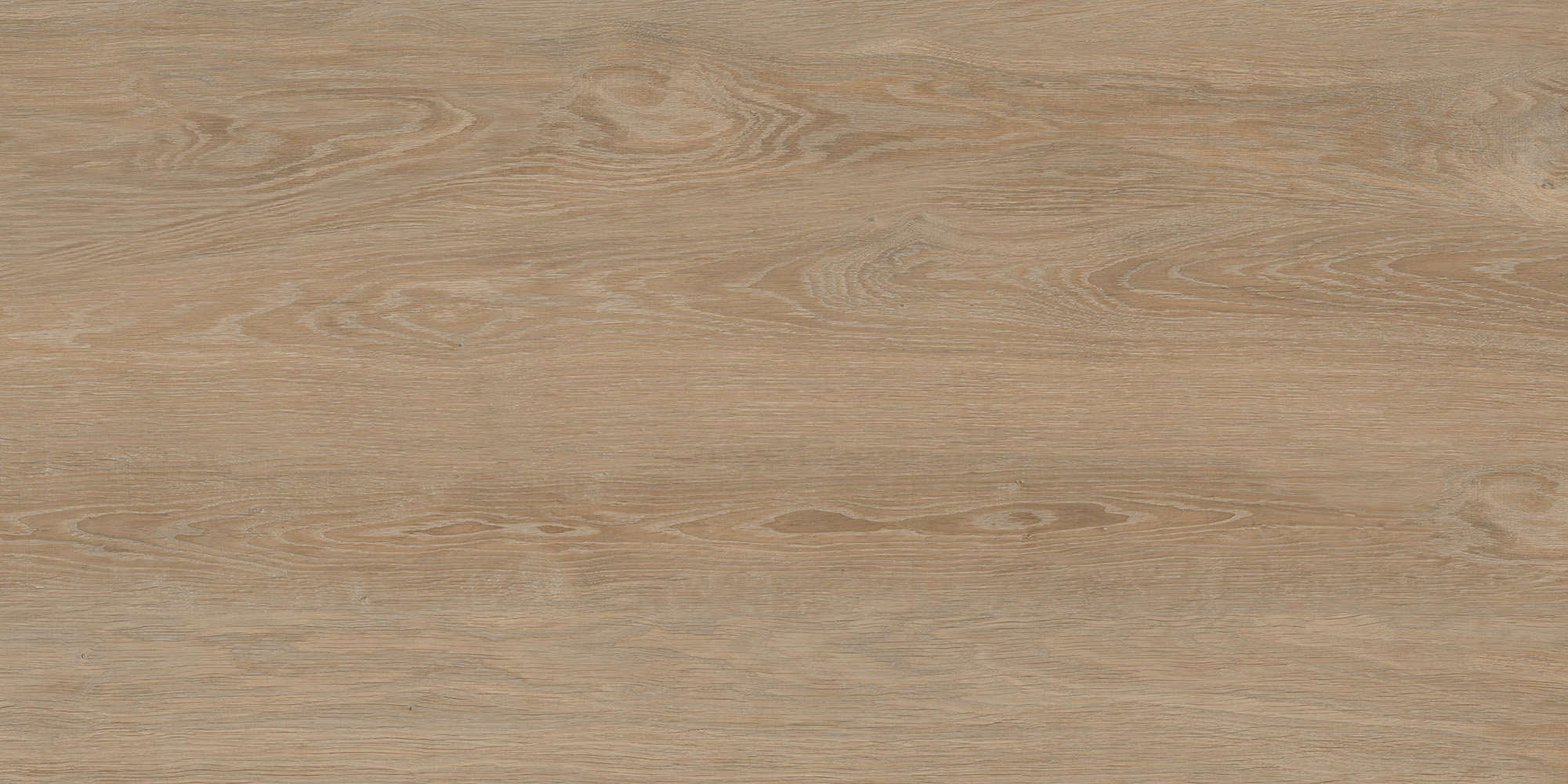 FO0L69M01  Forest Oak 60x120 - фото 6