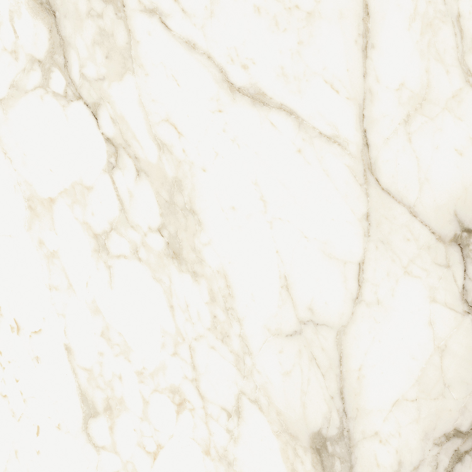 610010002748 На пол Michelangelo Ворм 60x60 - фото 3