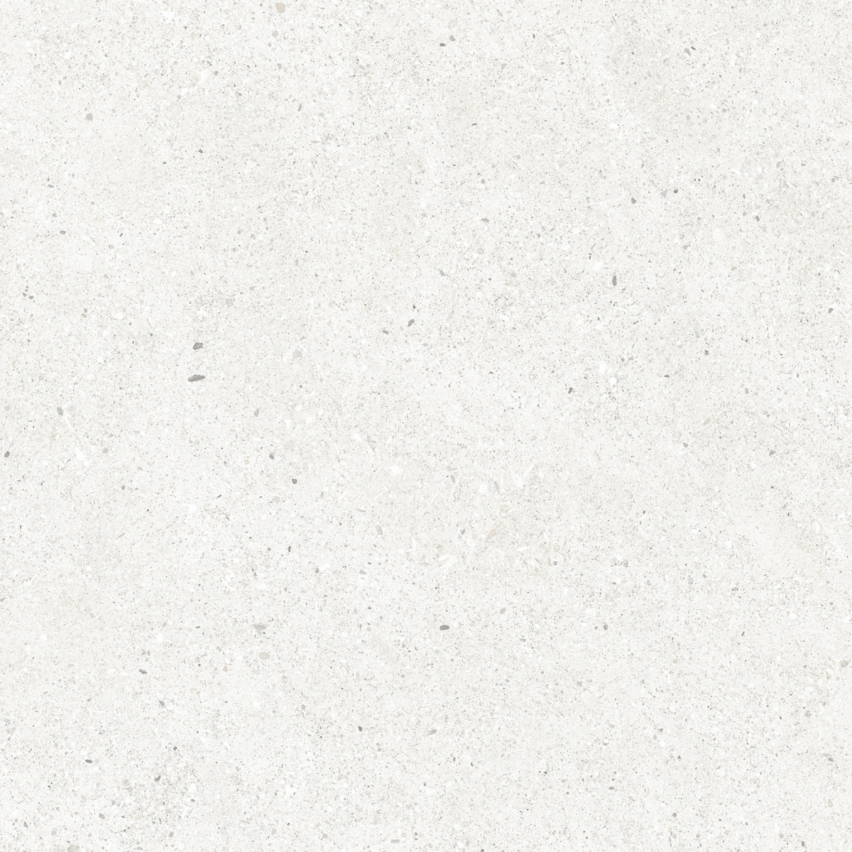 CR6060G0471R На пол Perla Bianco светло-серый матовый 59.5х59.5 - фото 9