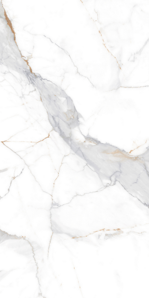 GT120606103PR На пол Calacatta Imperial Белый PR 60x120 - фото 3