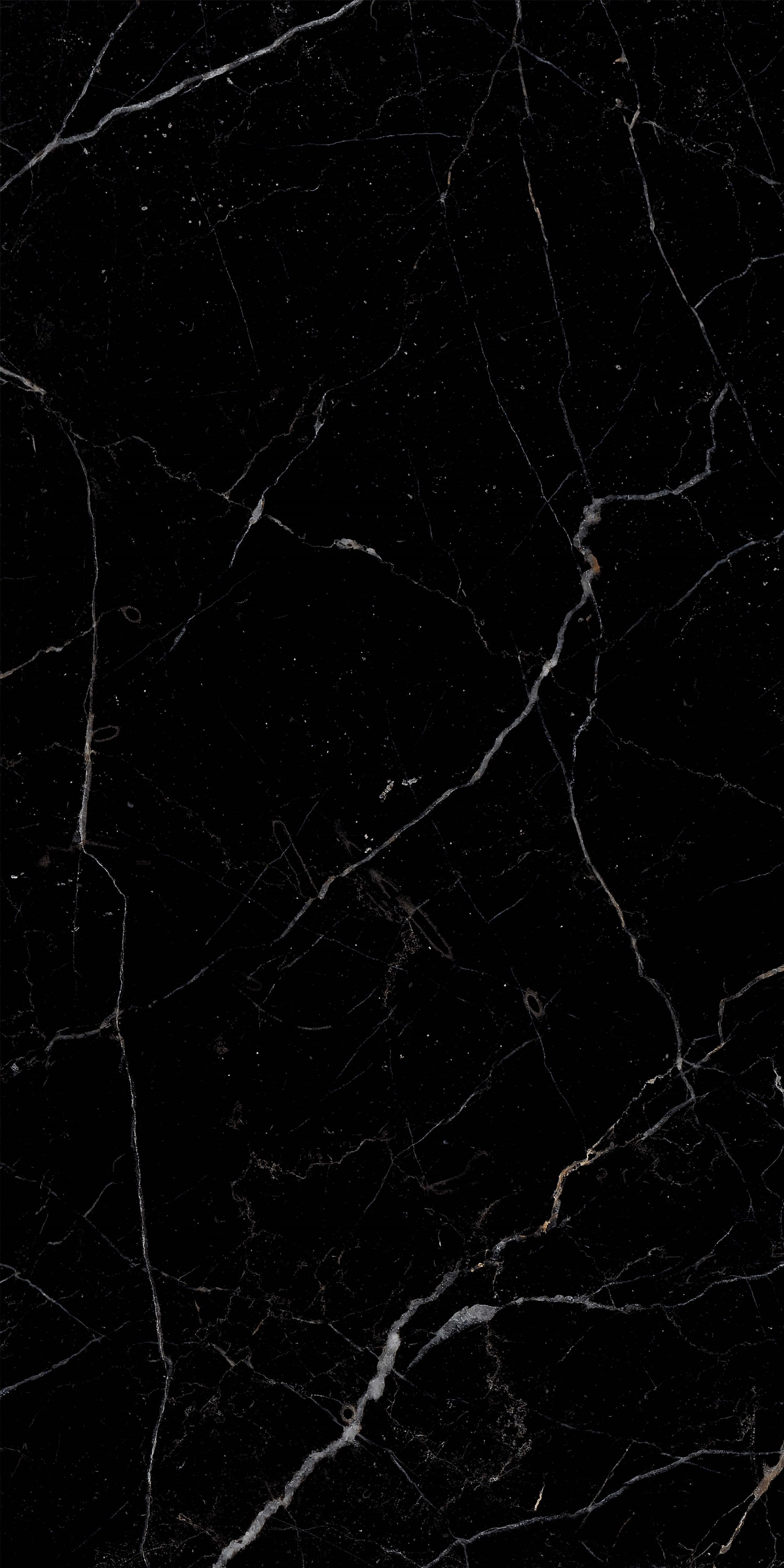 51790 На пол Royal Black Hight glossy 60x120 - фото 2