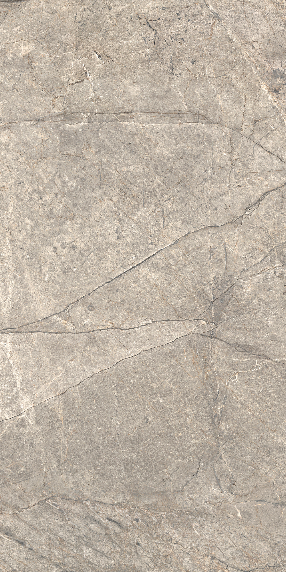 AGB2 На пол Anima Futura Silver Matt R9 60x120 - фото 7