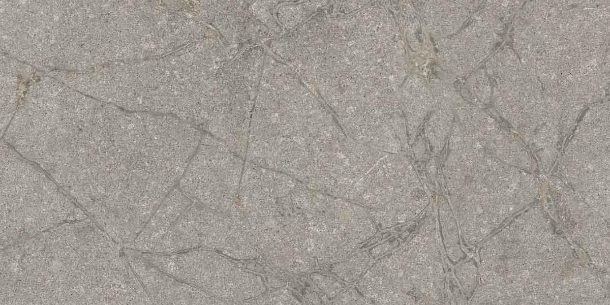 PF60011858 На пол Supreme Memories Grey Soapstone Ant Ret 60x120 - фото 6