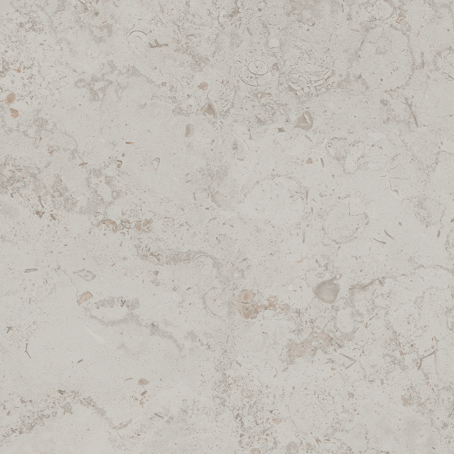 DD641000R На пол Про Лаймстоун Про Лаймстоун Серый Светлый Натуральный Обрезной 60х60 - фото 10