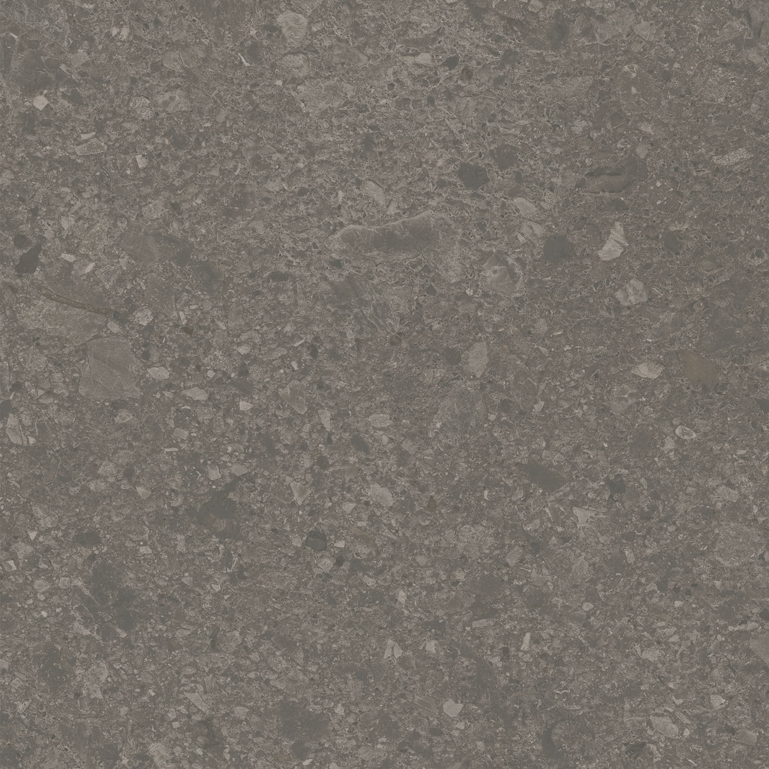 DD012900R На пол Чеппо ди Гре Коричневый матовый обрезной 119.5x119.5x1.1 - фото 6