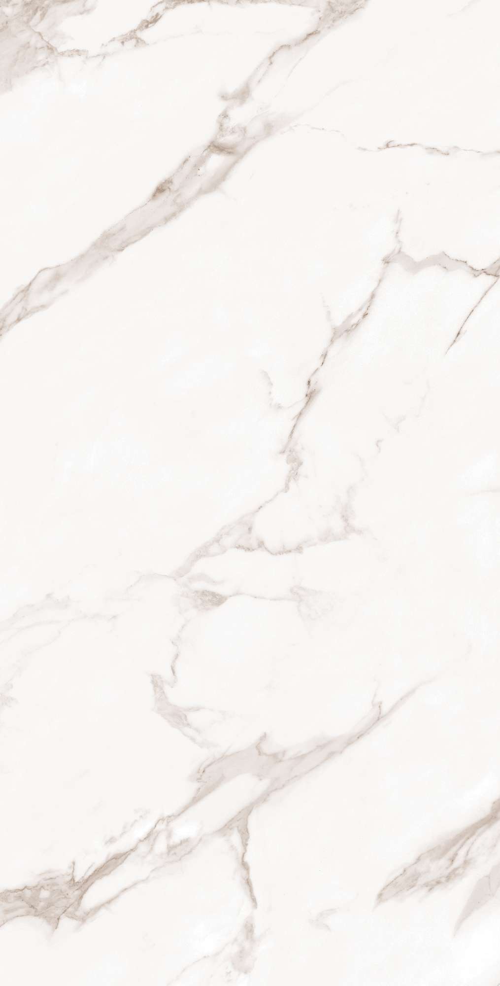 FP1019-A На пол Calacatta Bianco Full Polished 60x120 - фото 4