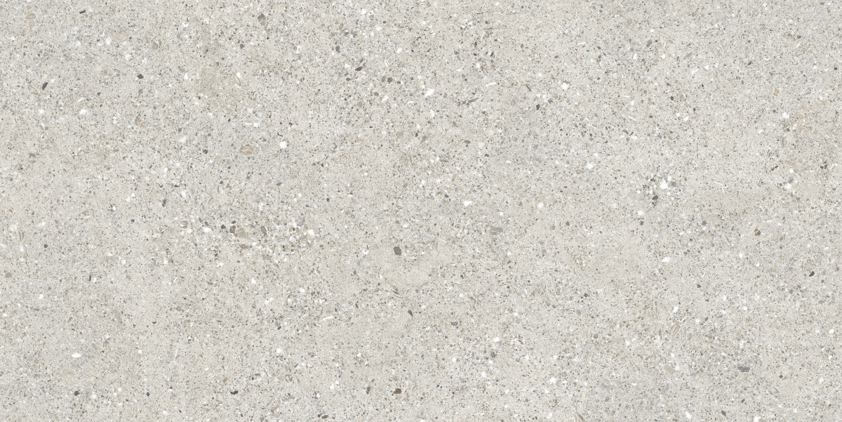 CR6012G0471R На пол Granito Grigio серый матовый 59.5х119.1 - фото 3