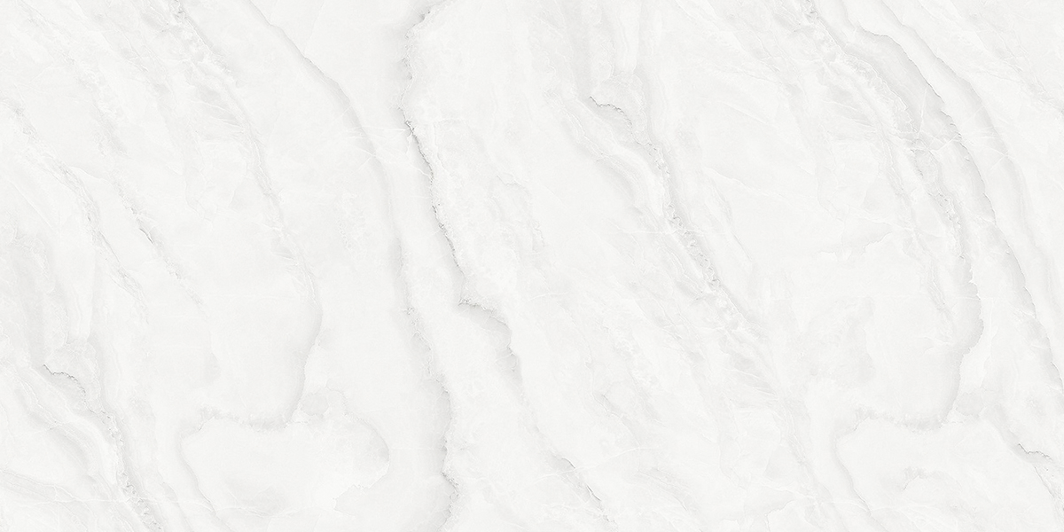 PRO 1148G На пол Silver Onix Gloss 1200x600 - фото 6