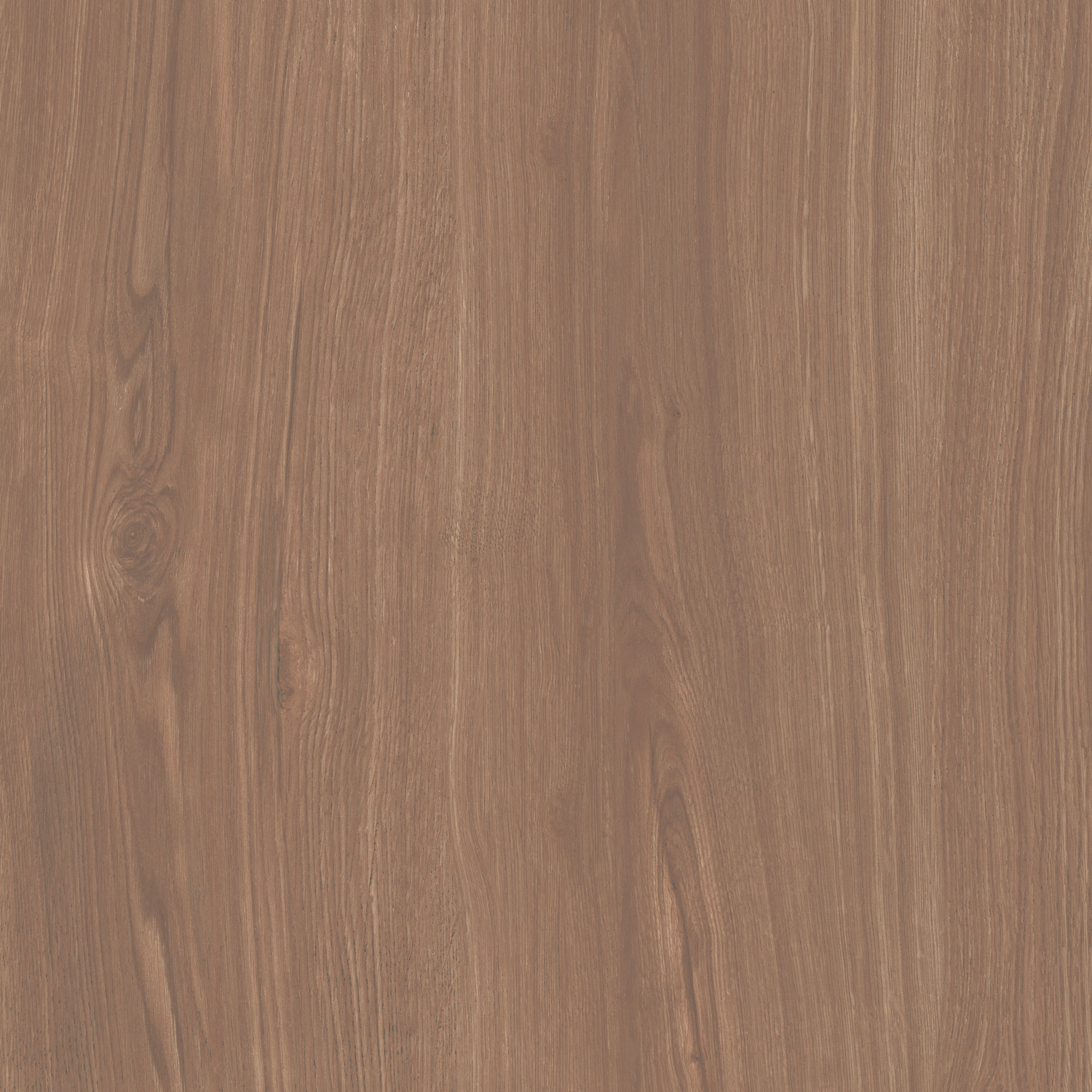 SG644020R На пол Альберони Коричневый матовый обрезной 60x60x0.9