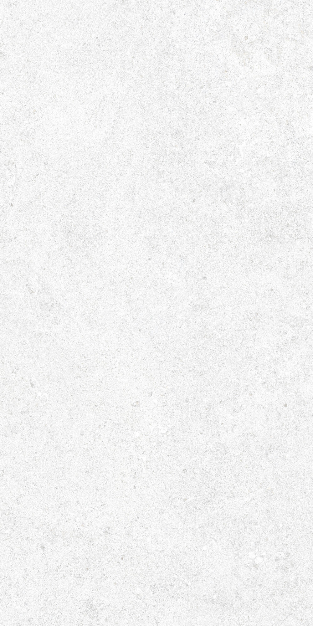 36905 На пол Cluny White 4D/50X100X2/A/R 50x100 - фото 4