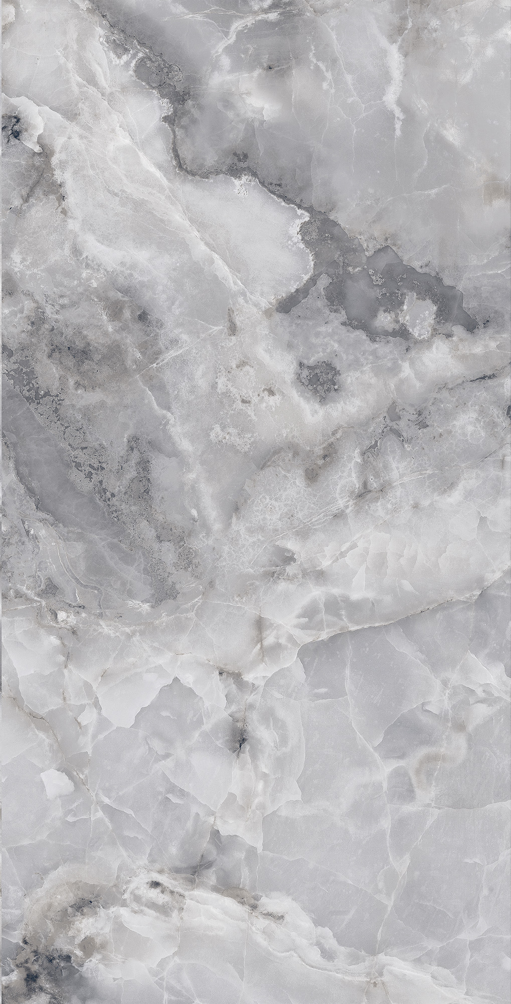 FP1026-A На пол Invisible Onyx Grey Full Polished 60x120 - фото 5