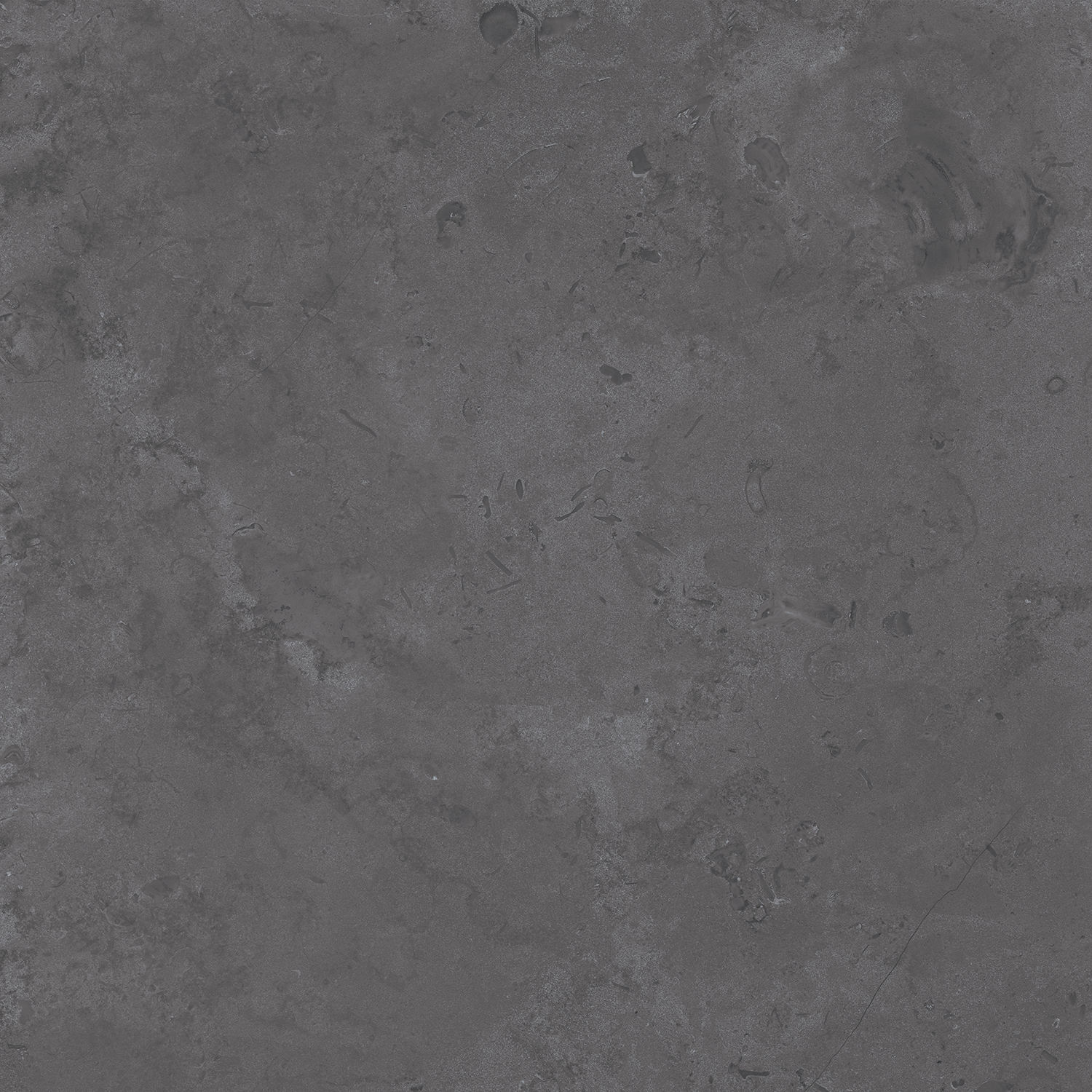 DD640800R На пол Про Лаймстоун Про Лаймстоун Серый Темный Натуральный Обрезной 60х60 - фото 13