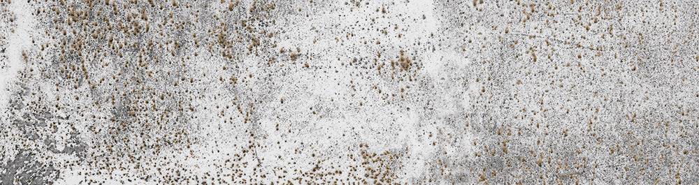 На стену Veria Серый 245x65 - фото 4