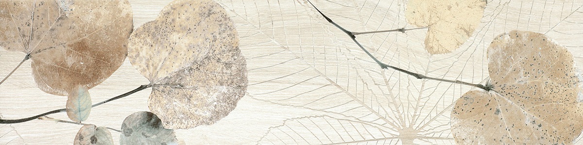 27FI10FO  Декор Foreste D'italia Foliage Bianco - фото 2