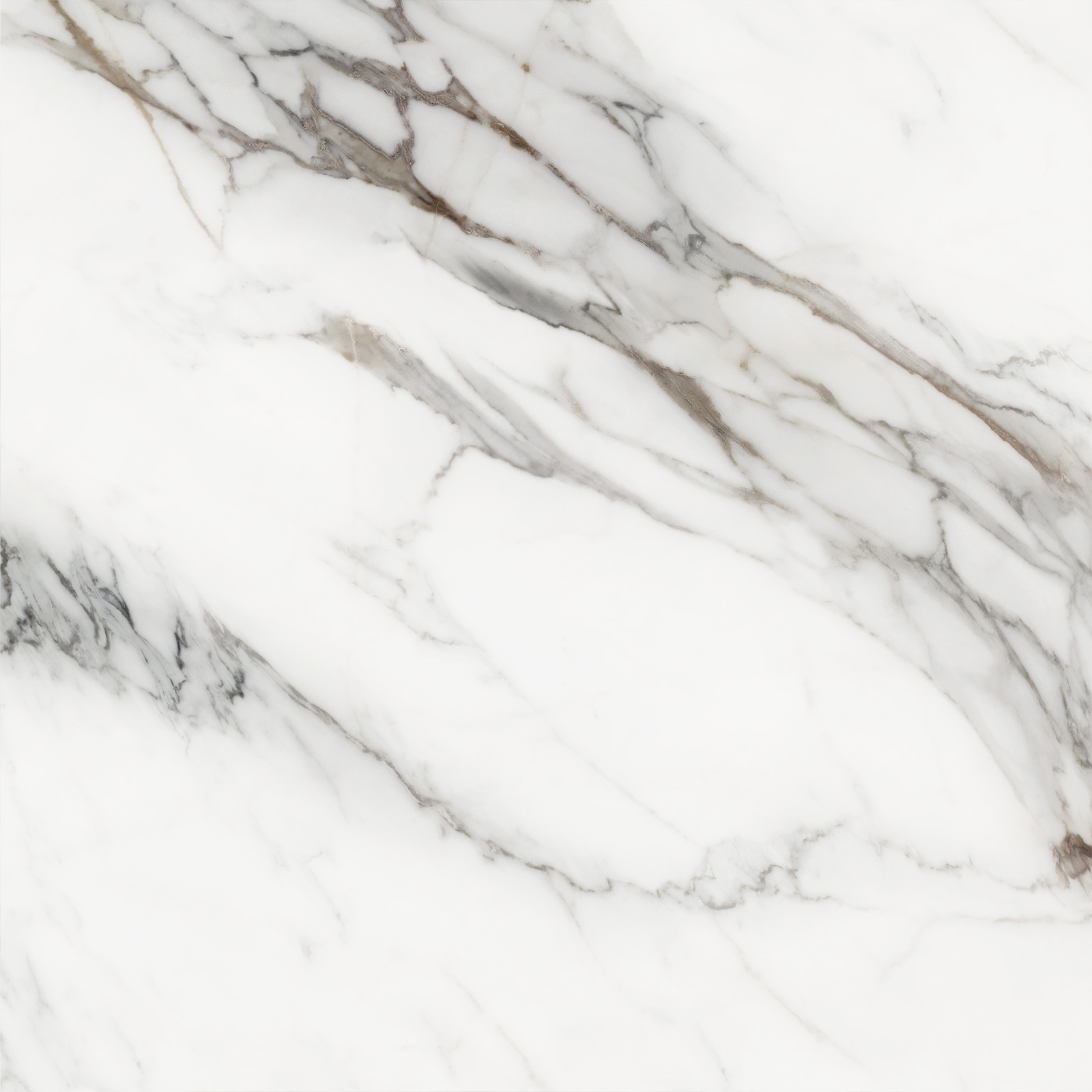D60208M Напольный Carrara Cersei Белый карвинг 600x600x9.5 - фото 12
