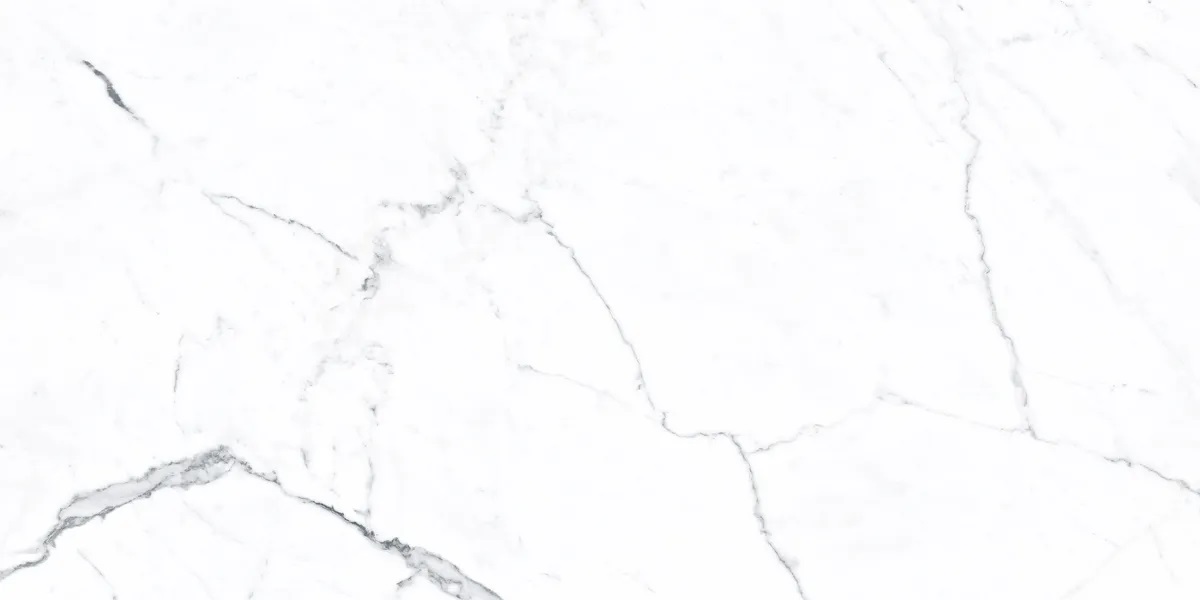 P0003934 На пол Idyllic Statuario White Vecchio 120x60