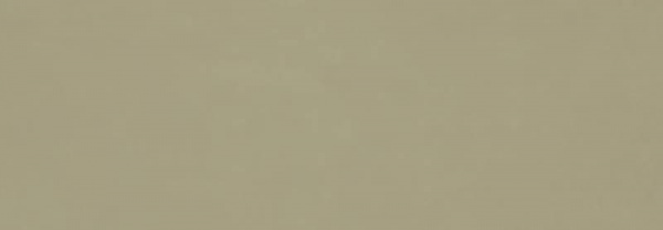 RA6E На стену Vida Verde Rett 30x90