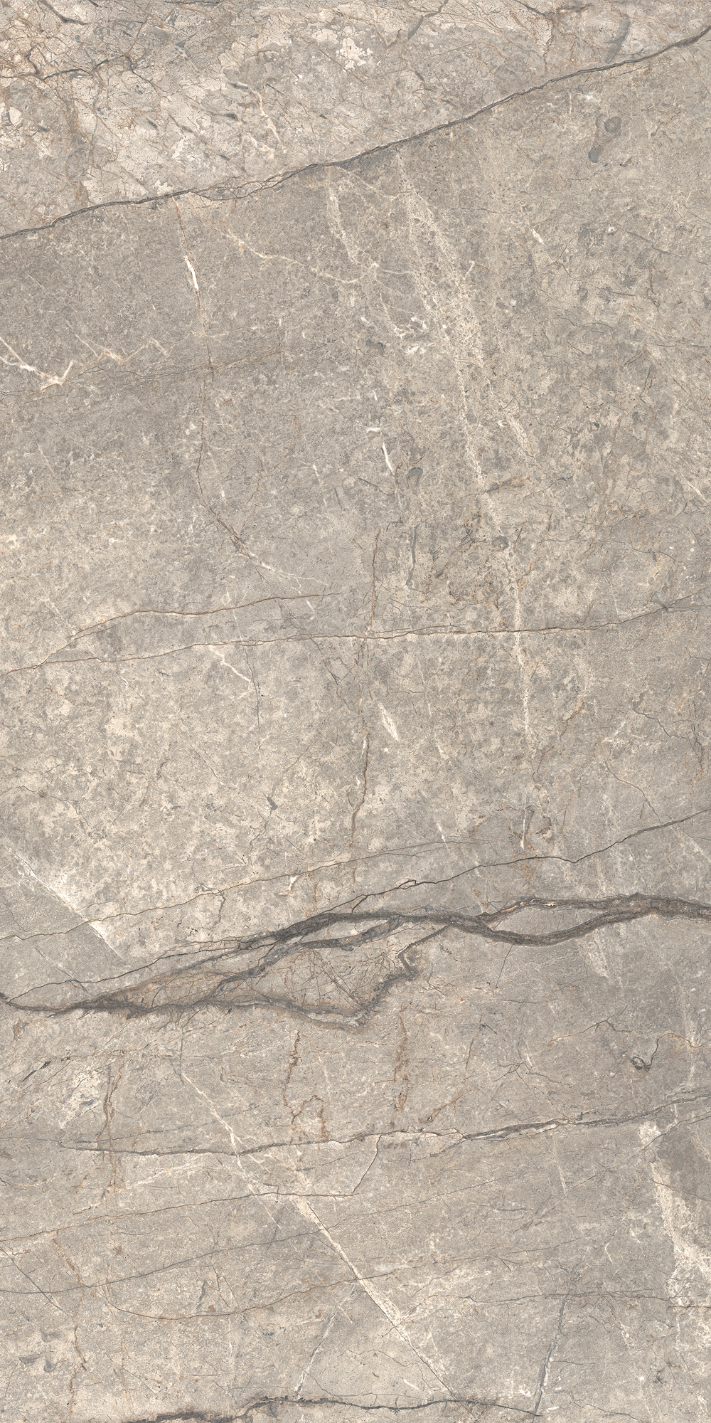 AGB6 На пол Anima Futura Silver Luc 60x120 - фото 7