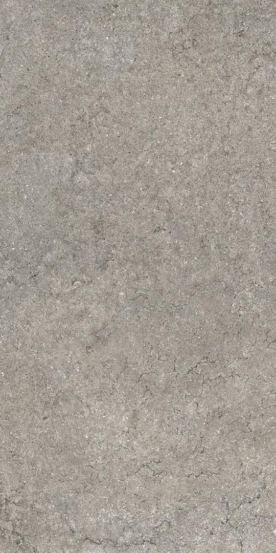 610010002728 На пол Discover Grey 60x120