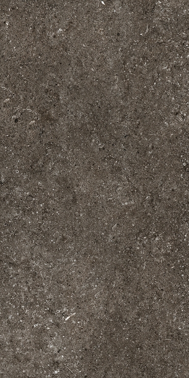 768625 На пол Sensi by Thun Brown Fossil Nat Ret 6mm 60x120 - фото 3