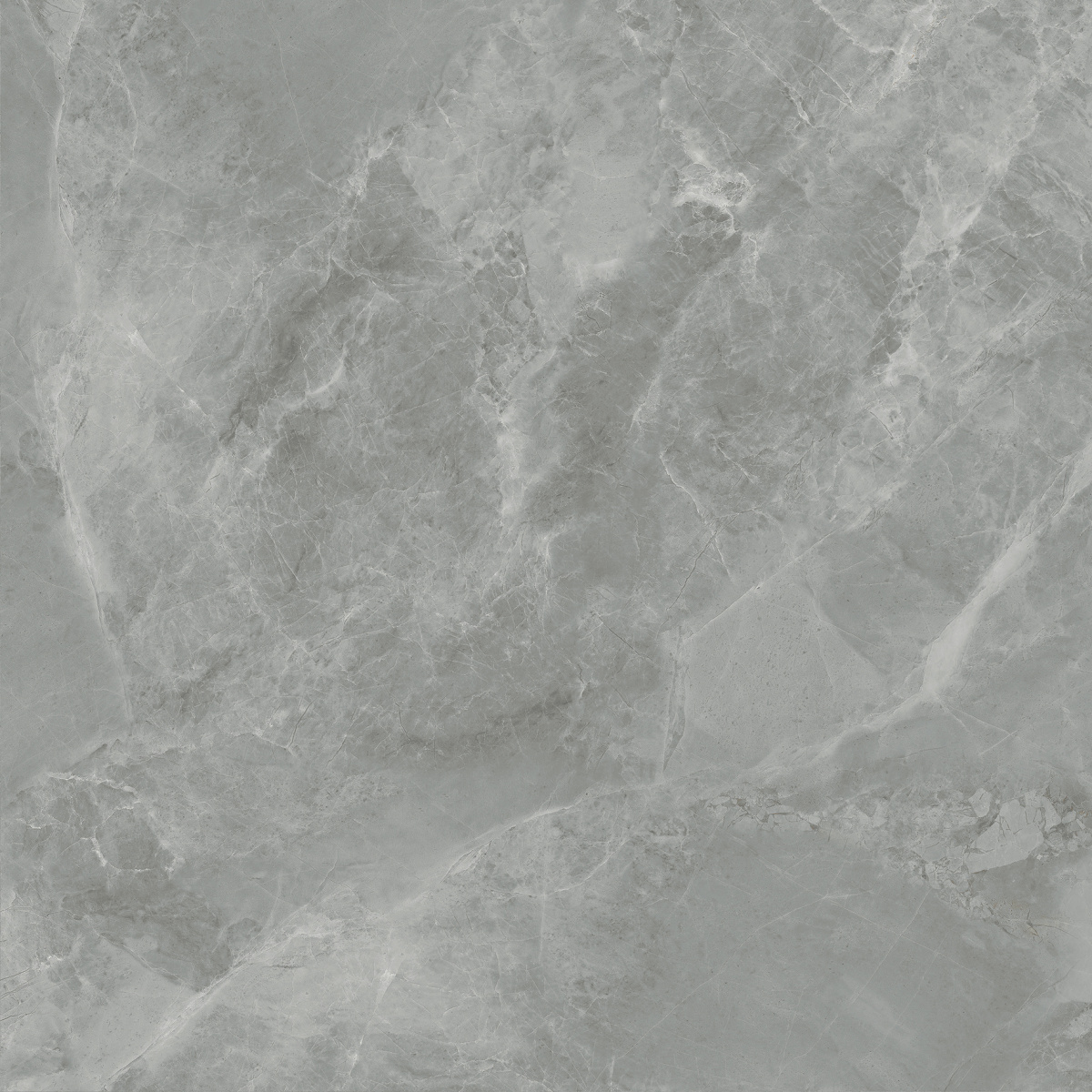 CR6060G0401R На пол Regnum Grigio серый матовый 59.5х59.5 - фото 11