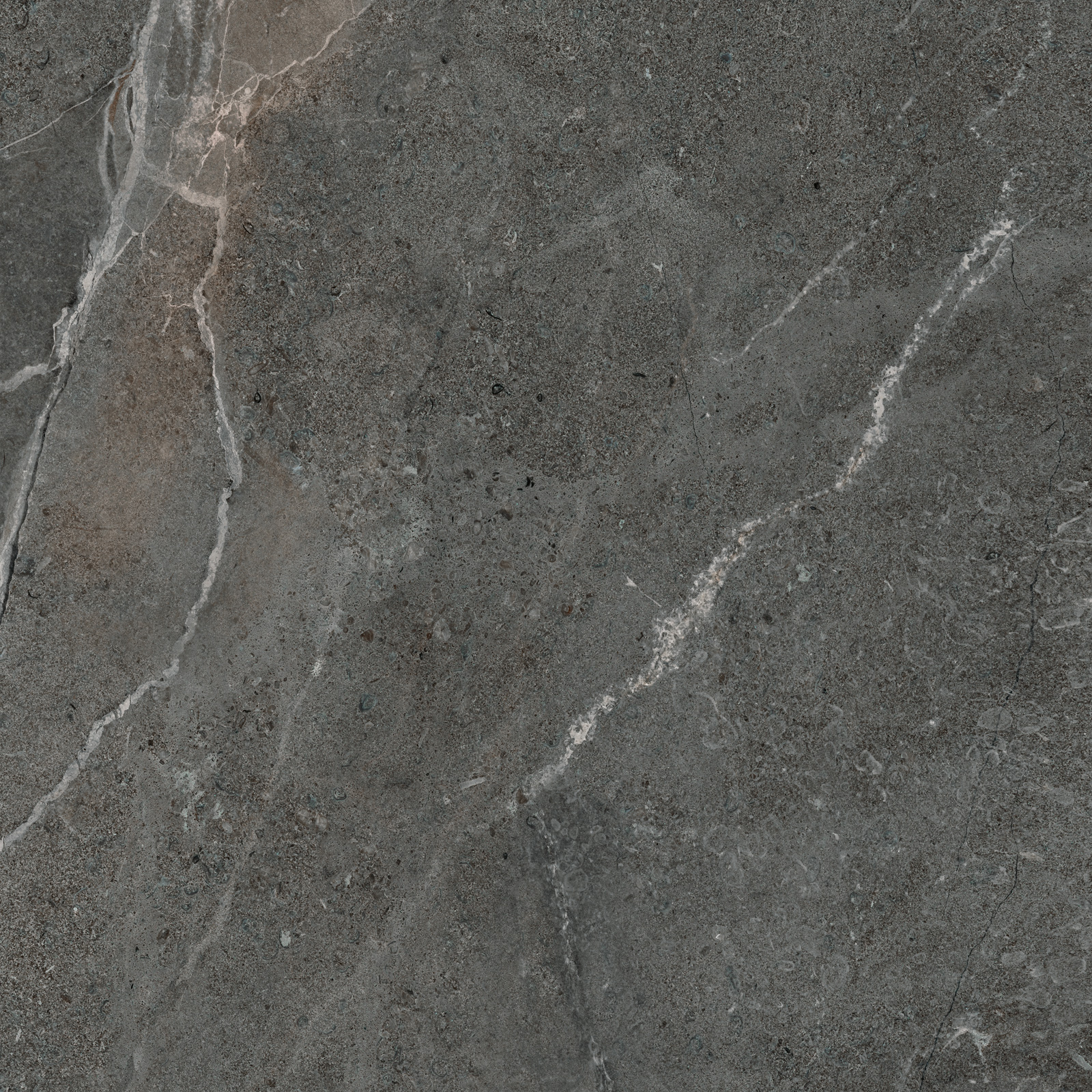 GP6060TIA25M На пол Titanium Graphite матовый 600x600x9.5 - фото 8