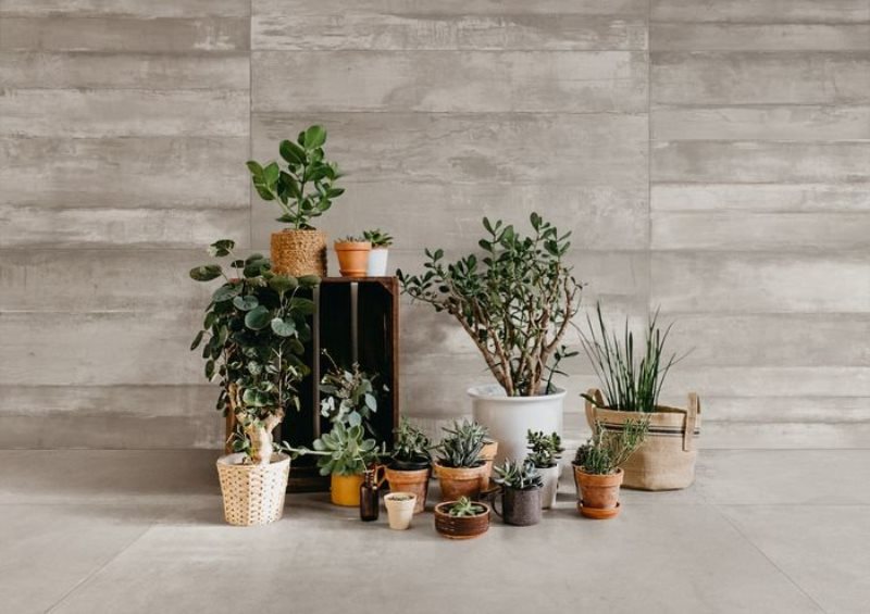 LEONARDO 1502 Moon - фото 2