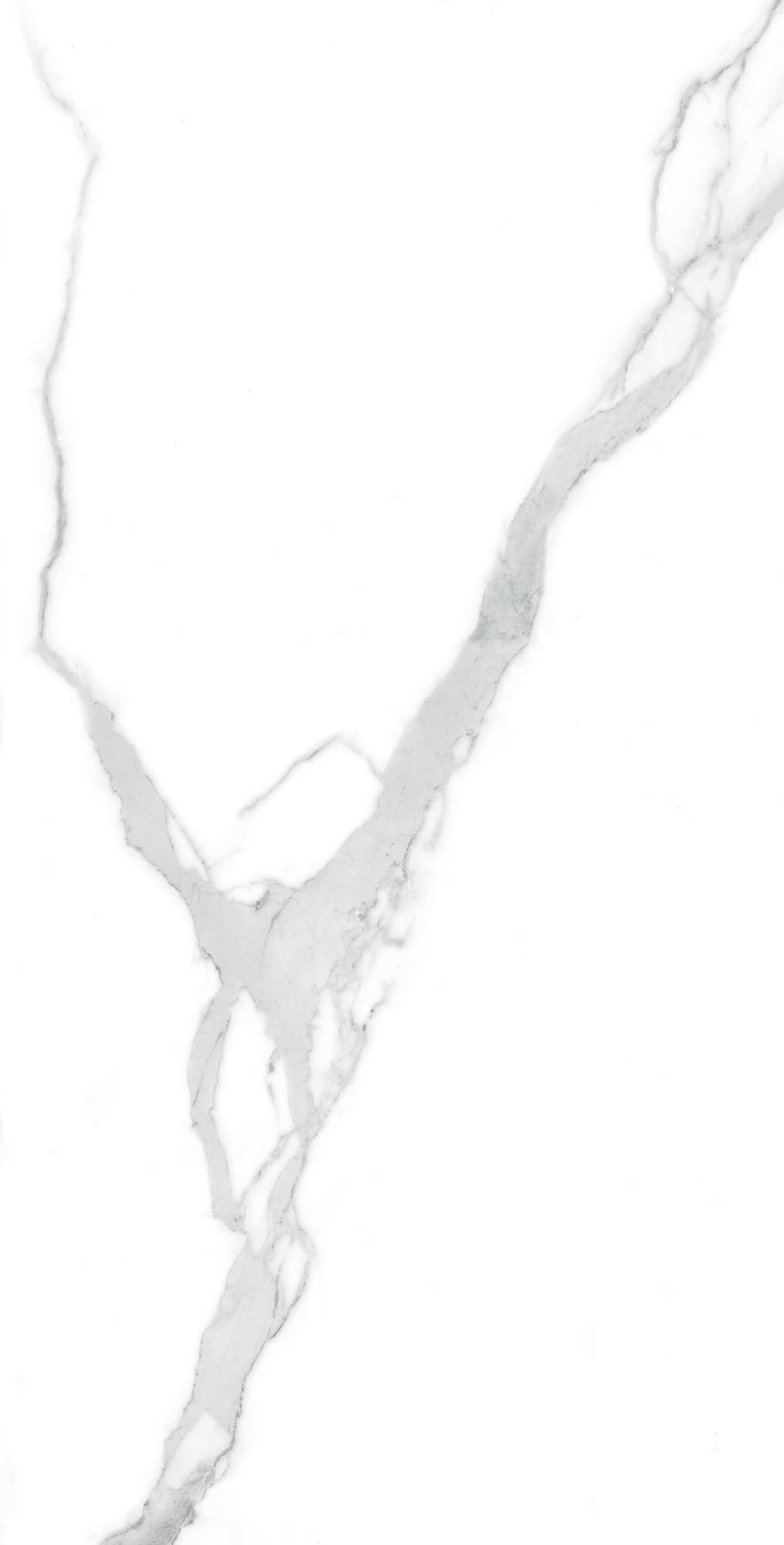 FP1021-A На пол Nuvo Statuario Full Polished 60x120