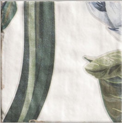 918576 Декор Cinque Terre Rev. Protea