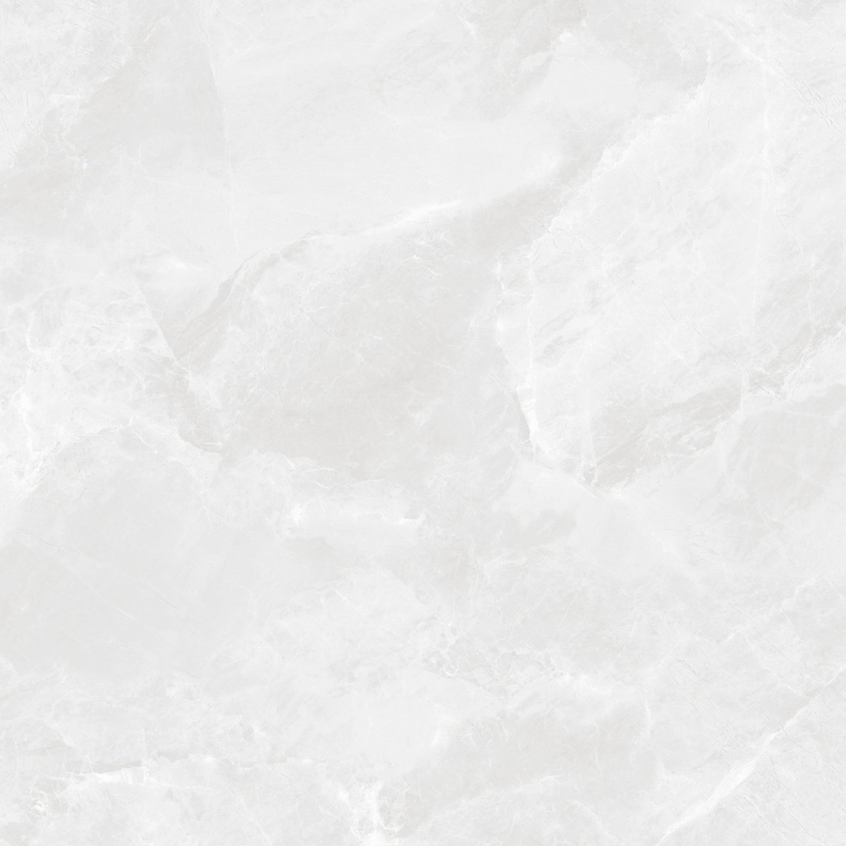 CR6060G0391R На пол Regnum Bianco светло-серый матовый 59.5х59.5 - фото 2