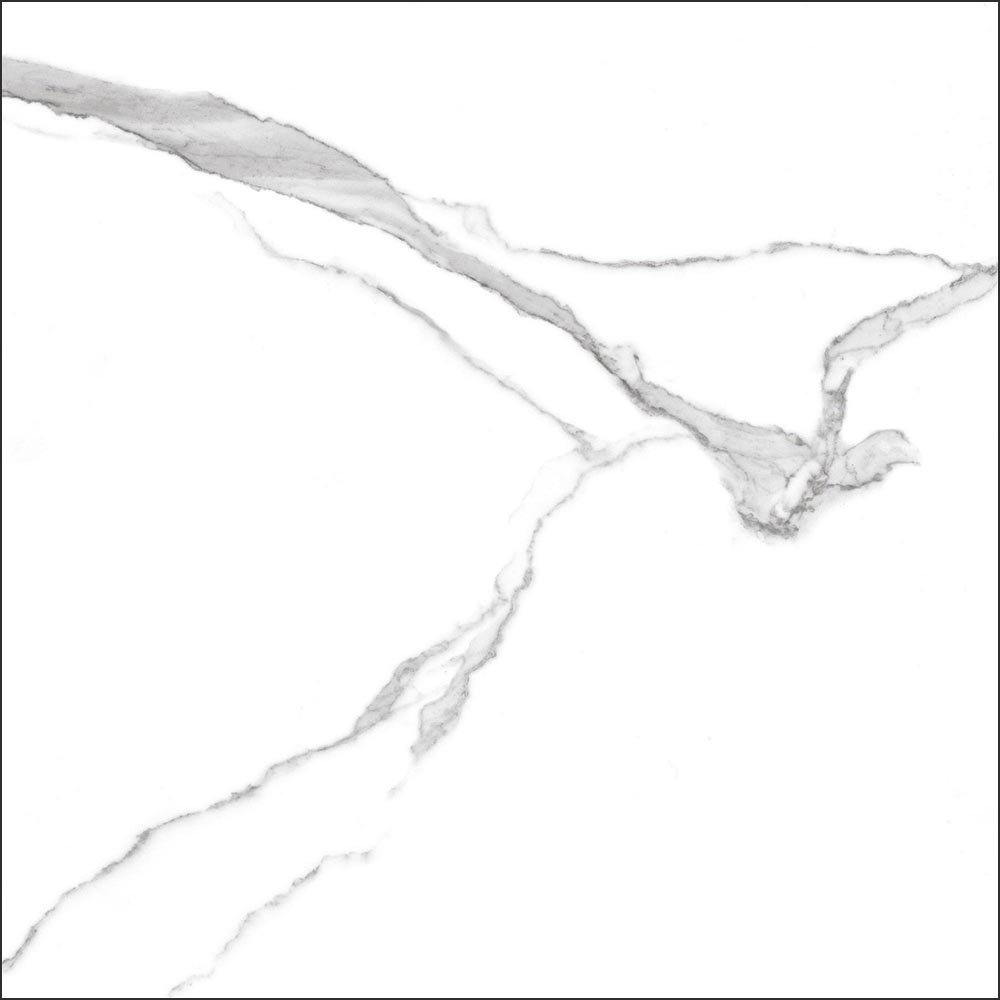 GT60601503MR На пол Anima Белый грес глаз. матовый - фото 4