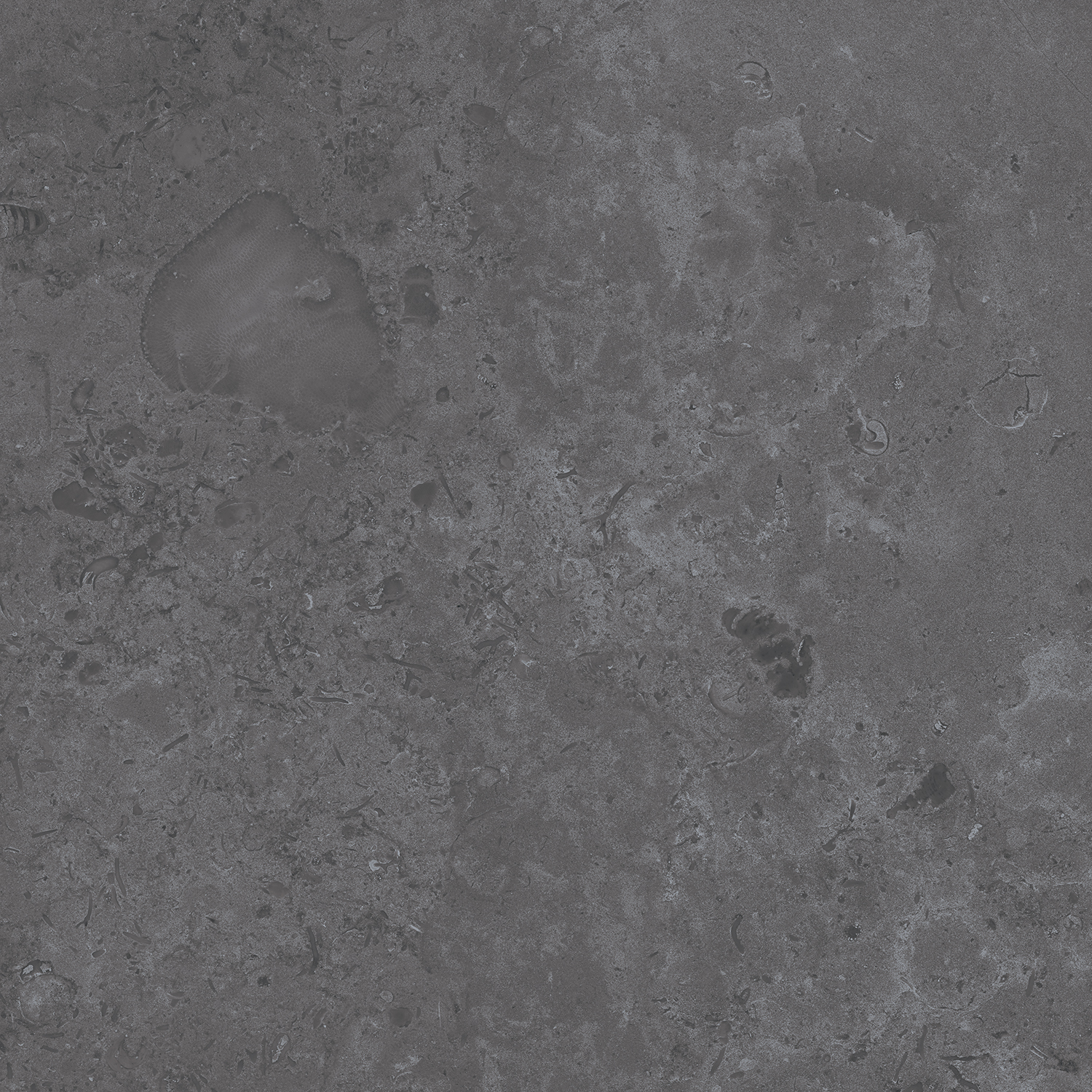 DD640820R На пол Про Лаймстоун Серый темный 9мм 60х60 - фото 14