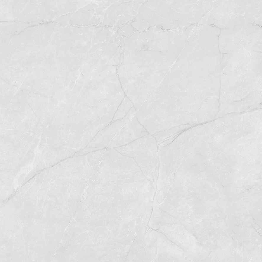 LP6060G0241R На пол Berna Silver светло-серый матовый 59.5х59.5 - фото 9